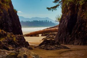 Tofino Beach