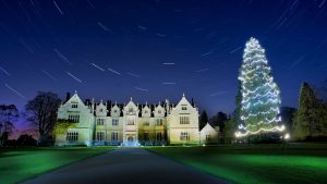 Wakehurst Tree