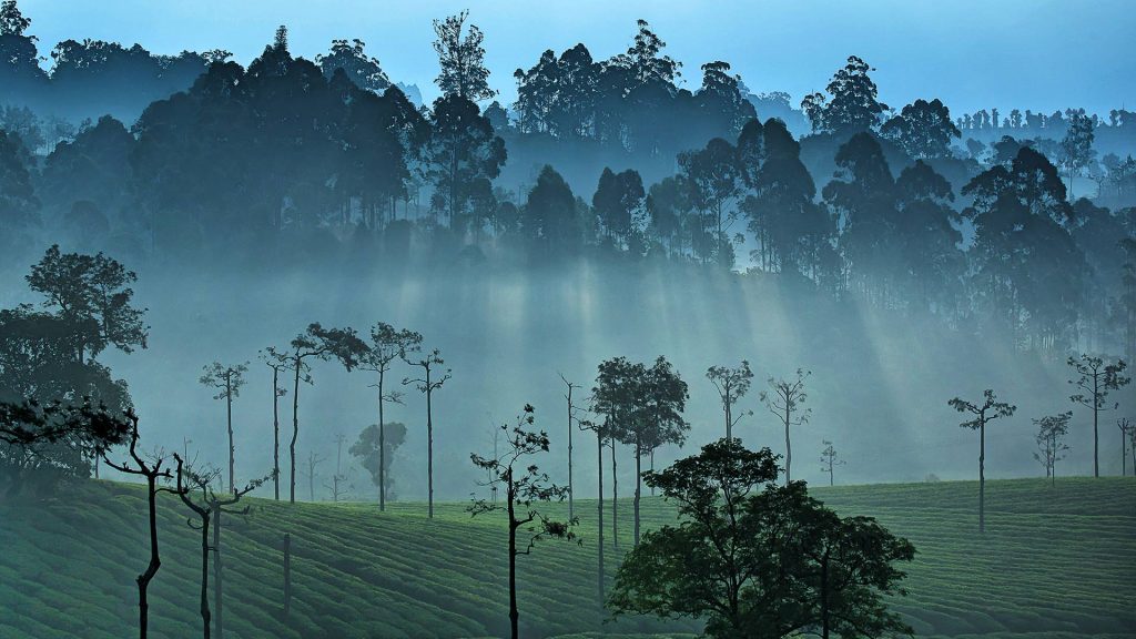 Western Ghats