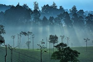 Western Ghats