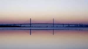 Y Bay Bridge