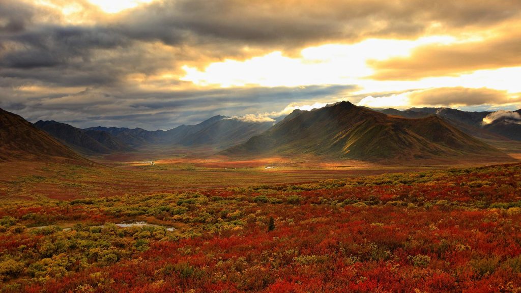 Yukon Colours