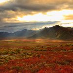 Yukon Colours