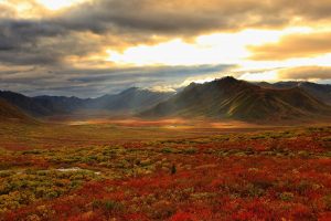 Yukon Colours