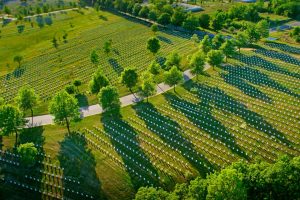 Arlington Drone