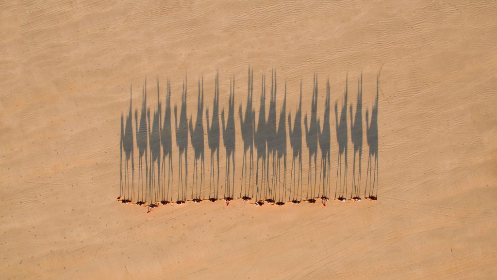 Camels Broome