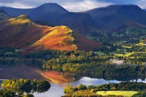 Cat Bells