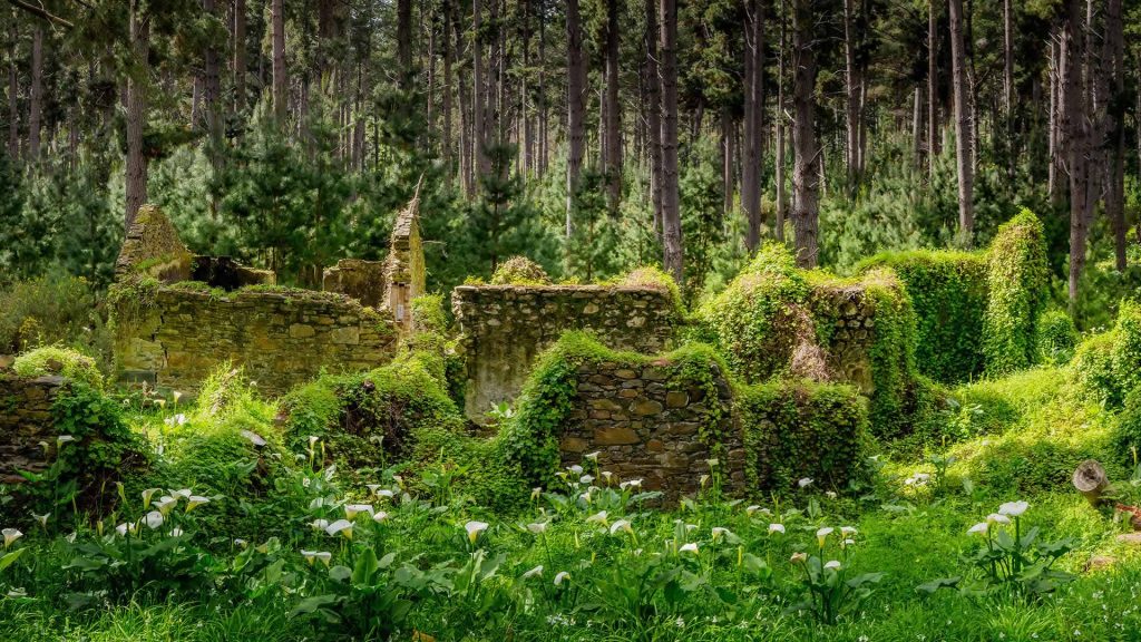 Cottage Ruins