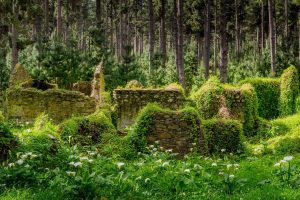 Cottage Ruins