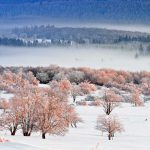 Eifel NP Belgium