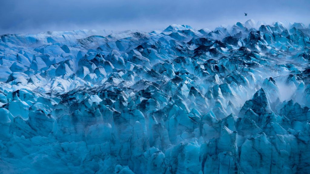 Glacier Bay