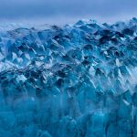 Glacier Bay