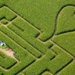 Herten Labyrinth