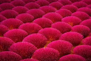 Incense Factory