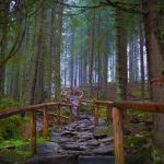 Morskie Oko