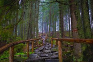 Morskie Oko