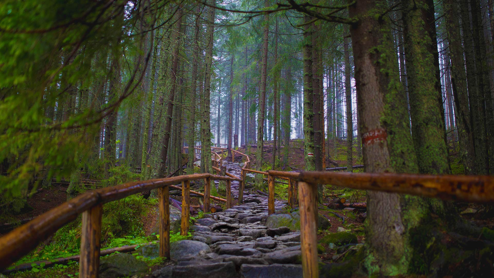 Morskie Oko