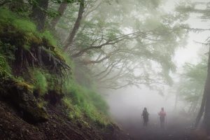 Mountain Day Japan