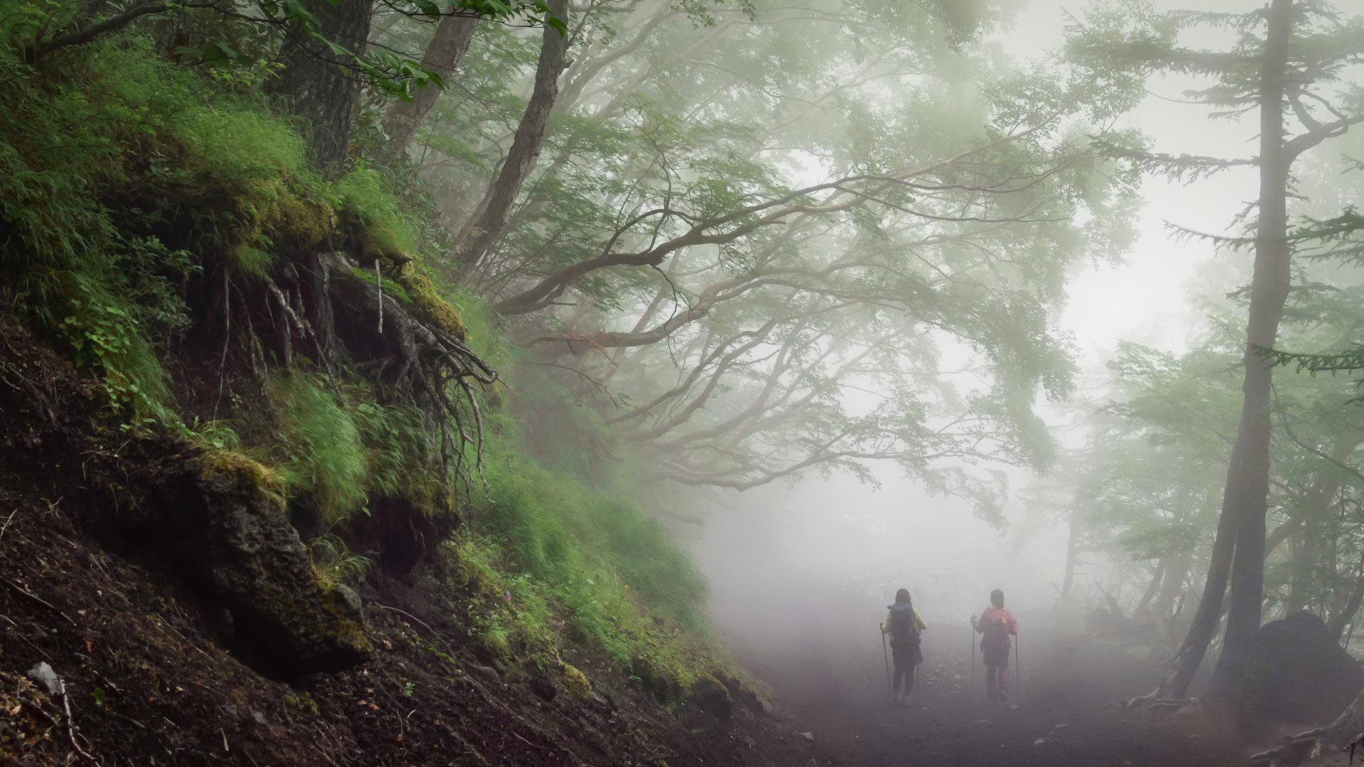 Mountain Day Japan