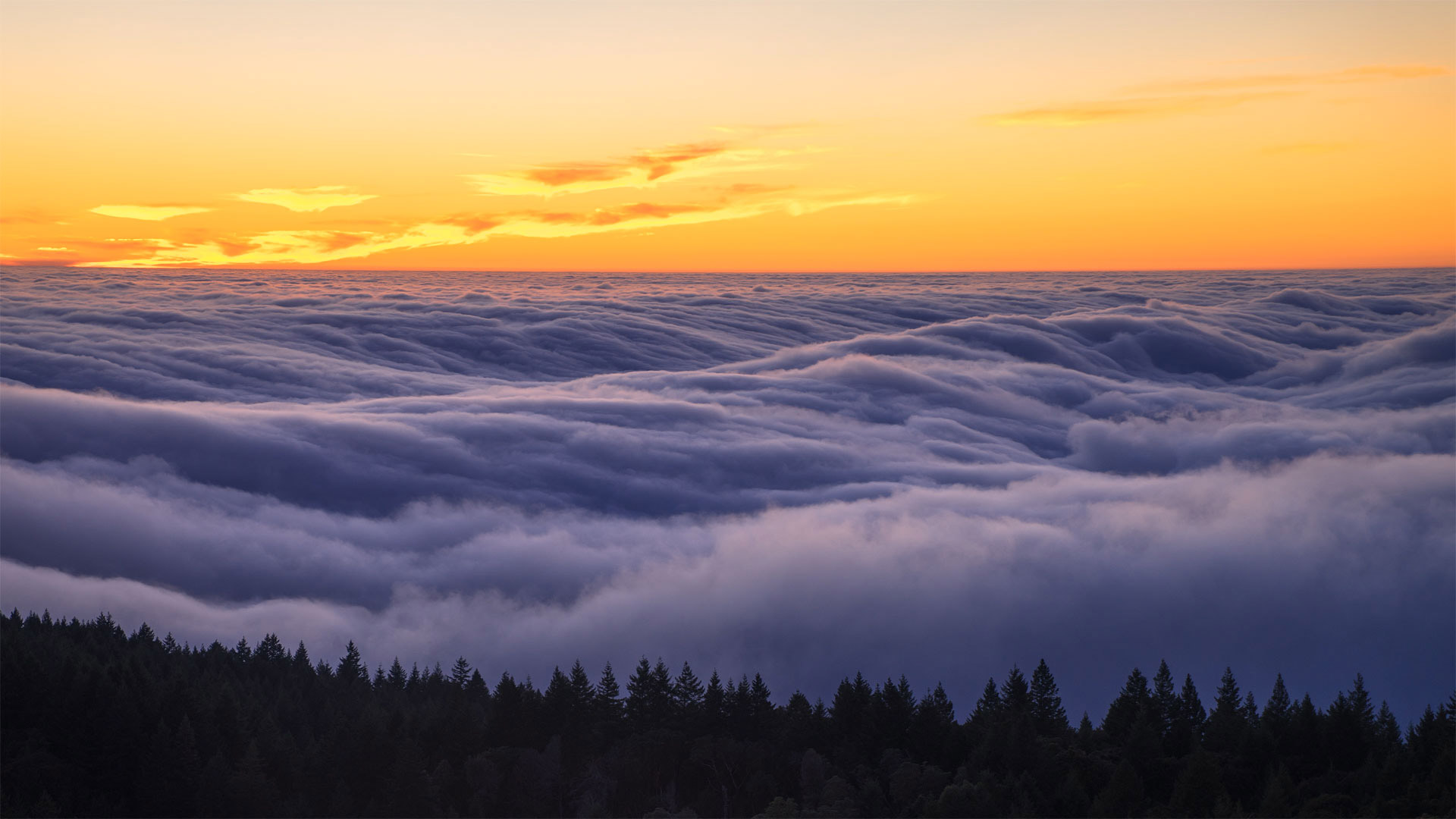 Fog over Mount Tamalpais