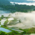 Rice Terrace