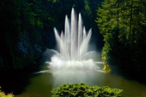 Ross Fountain