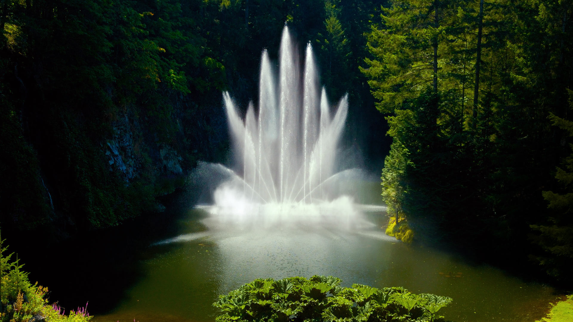 Ross Fountain