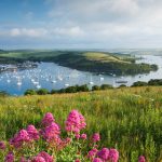 Salcombe Harbour