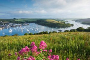 Salcombe Harbour