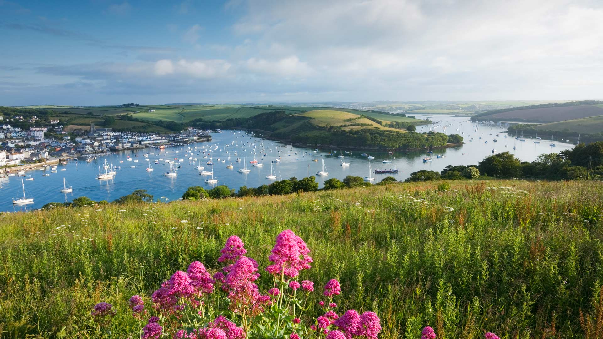 Salcombe Harbour