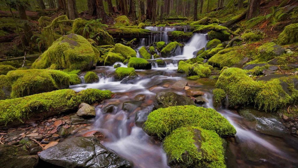 Sol Duc Valley