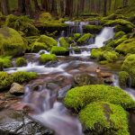 Sol Duc Valley