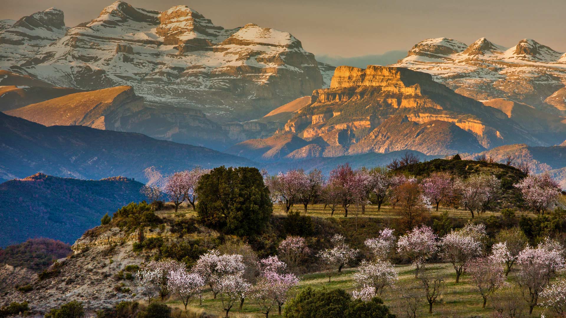 Spain Spring