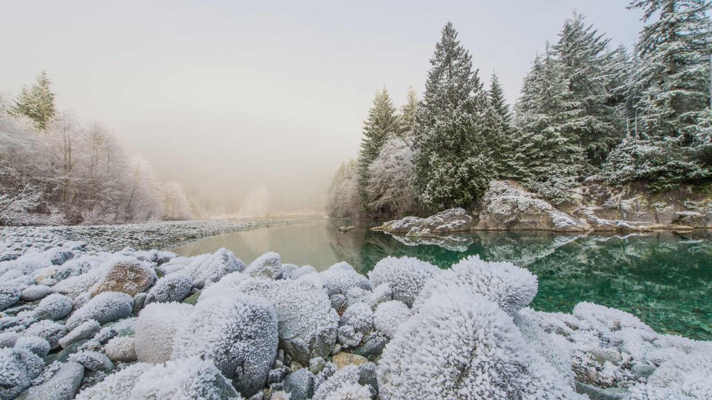 Tofino Frost