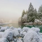 Tofino Frost