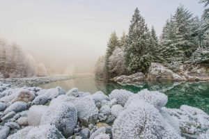 Tofino Frost