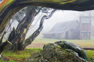 Wallace Hut