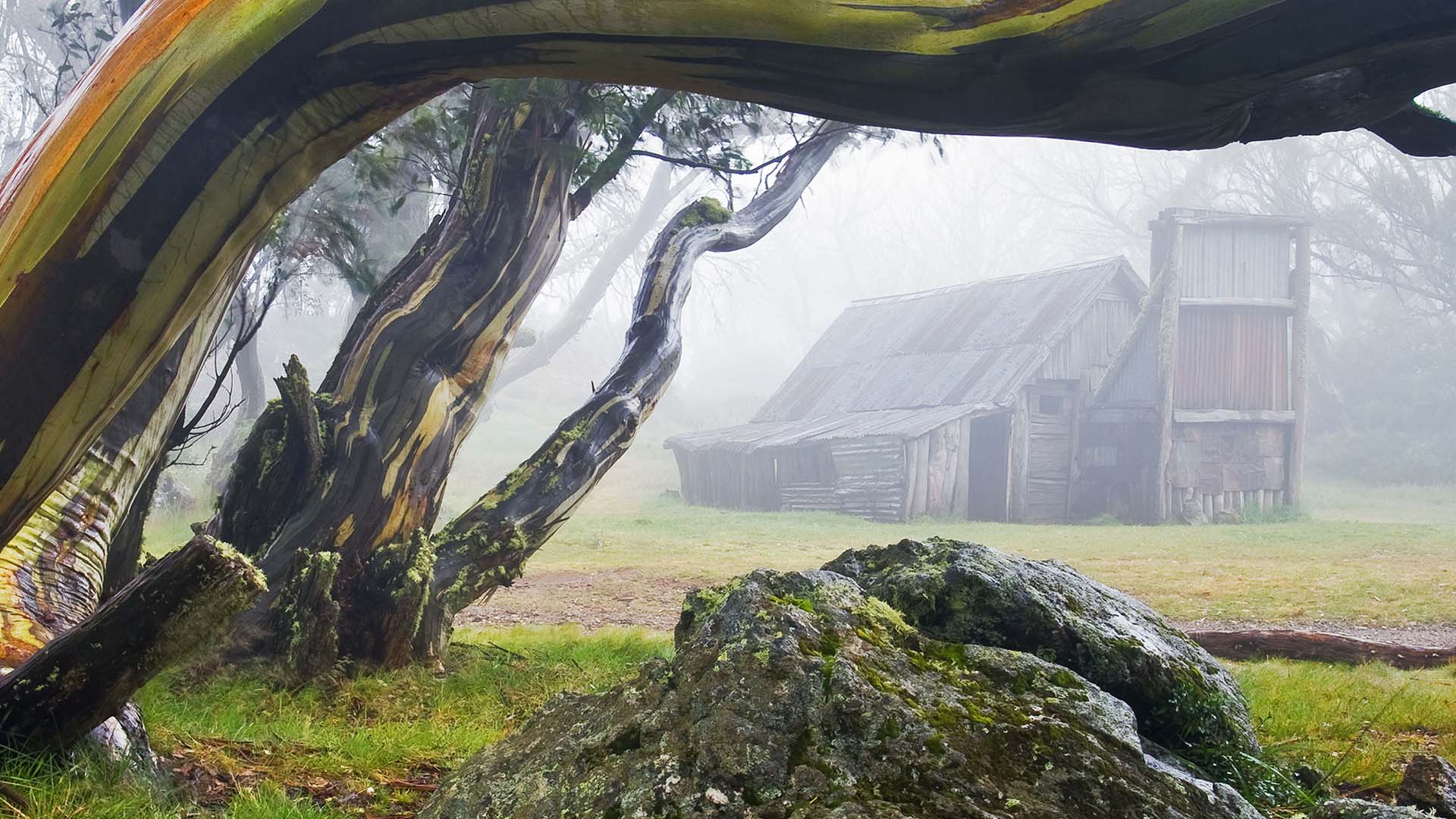 Wallace Hut