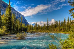 Berg Lake Trail