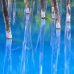 Blue Pond Japan