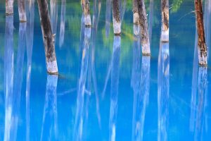 Blue Pond Japan