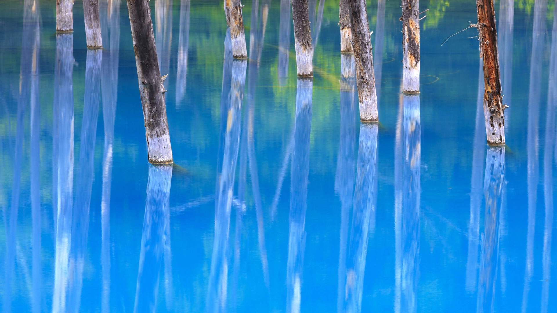 Blue Pond Japan