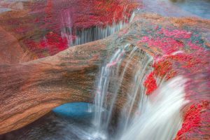 Cano Cristales