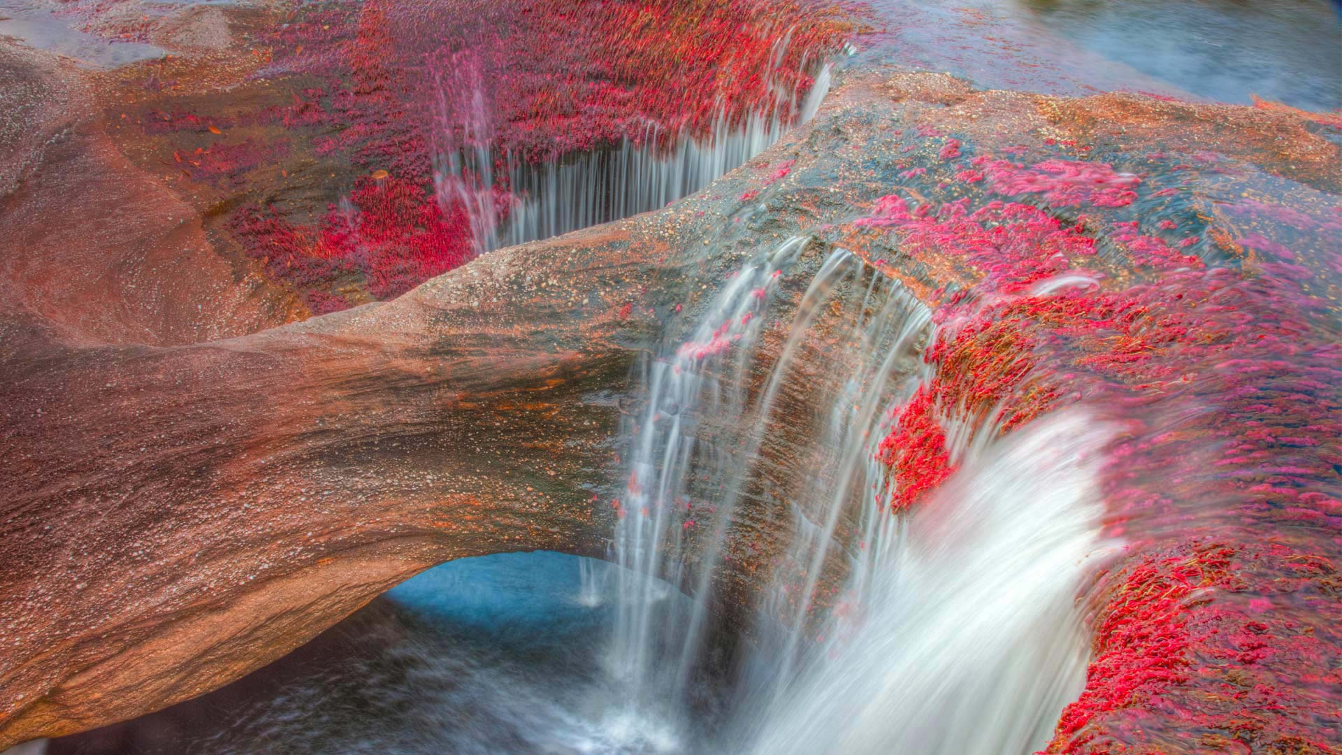 Cano Cristales