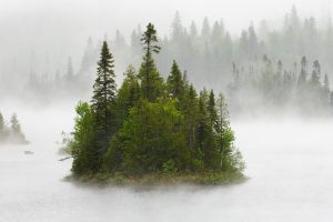 Fenton Lake