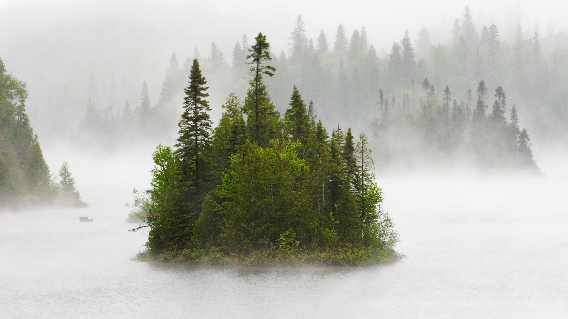 Fenton Lake