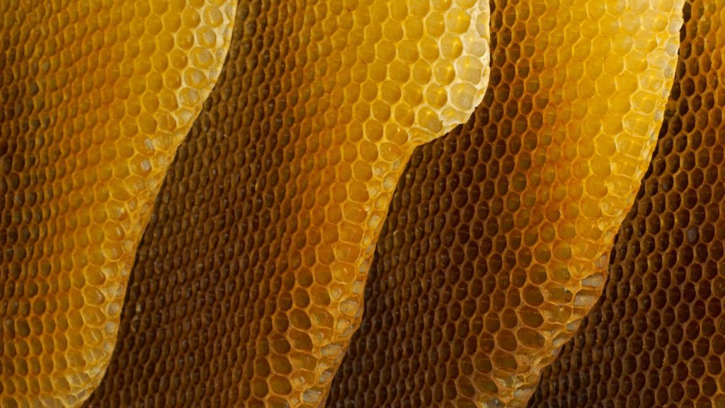 Honeycomb