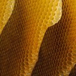 Honeycomb