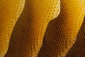 Honeycomb