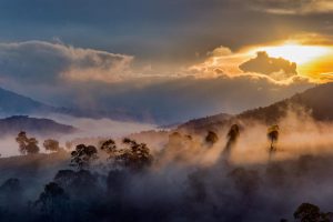 Idukki